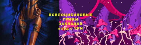 ECSTASY Алексеевка